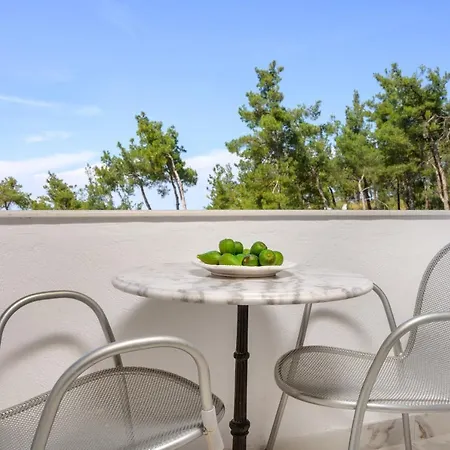 Hotel Leandros Nea Roda