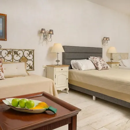 Leandros Hotel Nea Roda